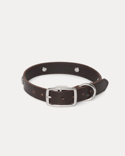 Ss Link Studded Dog Collar Accessories In Brown | hero:main:collection:new-arrivals,shirts,tops-shirts,all,tees,outerwear,denim,knits,accessories,sunglasses,hoodies,sweats,mens-hoodies-sweatshirts,shorts,pants,bottoms