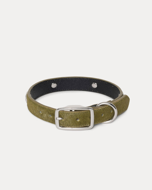 Ss Link Studded Dog Collar Accessories In Hairy Moss | hero:main:collection:new-arrivals,shirts,tops-shirts,all,tees,outerwear,denim,knits,accessories,sunglasses,hoodies,sweats,mens-hoodies-sweatshirts,shorts,pants,bottoms