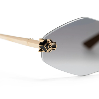 Polychromatic Sunglasses