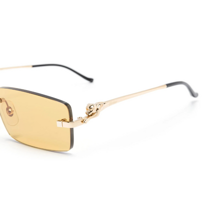 Monochromatic Sunglasses