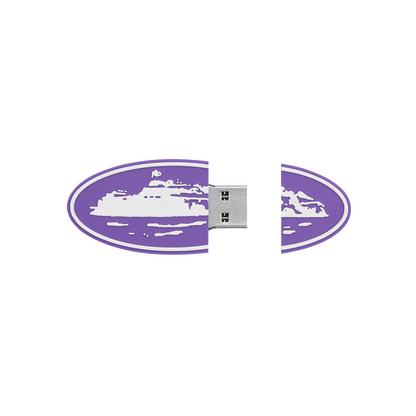 USB 32GB [PURPLE]